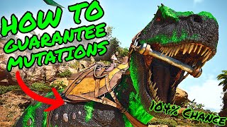 How To GUARANTEE Getting MUTATIONS in Ark Survival Ascended ASA MUTATIONBREEDING GUIDE [upl. by Areema]