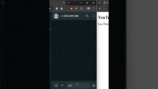 Live WhatsApp Messages on Localhost with SocketIO and WhatsApp Cloud  RealTime Setup Tutorial [upl. by Aciretal]