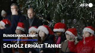 quotKanzlertannequot Scholz bekommt Weihnachtsbaum  AFP [upl. by Fayette579]