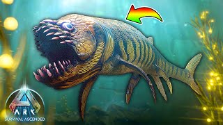 この魚が世界を制覇します！🐟 新生物シファクティヌス【新ARK SURVIVAL ASCENDEDアークASA】15 [upl. by Hulda495]