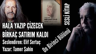 SESLİ KİTAP11 BölümHala Yazıp Çizecek Birkaç Satırım Kaldı  Tamer ŞahinSeslendiren Elif Sertuç [upl. by Hannie]