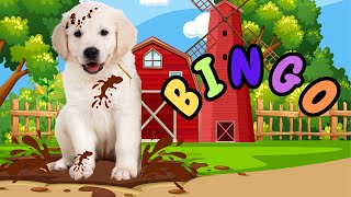 BINGO  Nursery Rhymes amp Kids Songs  Baby Song  Izzys Learning Club [upl. by Lantha]