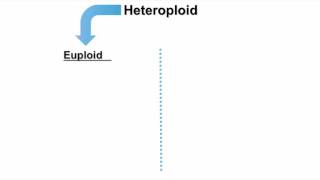 Cytogenetics I [upl. by Behah]