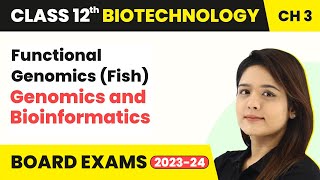 Functional Genomics Fish  Genomics and Bioinformatics  Class 12 Biotechnology Chapter 3 [upl. by Avrom]