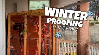 How to Protect Aviary Birds from Winter [upl. by Anaitit994]