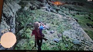 Red Dead Redemption Online Pelle Pearl not spawning [upl. by Eta]