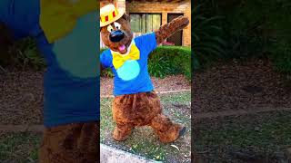 Humphrey B Bear dances for The Leukaemia Foundation [upl. by Powe]