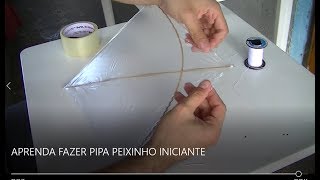 PIPA  PEIXINHO  APRENDA A FAZER quotINICIANTESquot [upl. by Justis161]