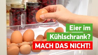 DESHALB solltest du Eier NIEMALS in der Kühlschranktür aufbewahren💥Wusstest du es 🤯 [upl. by Yentroc243]