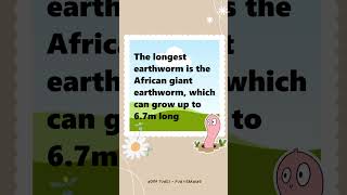 Fun Learning  Worms interesting facts [upl. by Faucher]