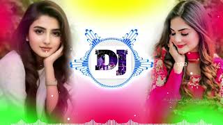 Momtaz Love Dj Remix Song Dj PaPpU x DJ SaBbIr [upl. by Joye]