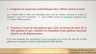 Bac SGènes et allèlesPartie 2 Application sur les mutations [upl. by Aletha147]