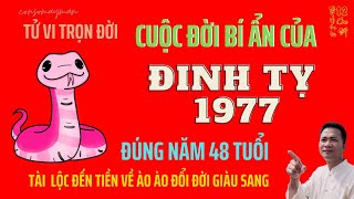 TỬ VI – Cuộc Đời Đinh Tỵ 1977 – Đúng Năm 48 Tuổi Được Lộc Trời Cho Giàu Nứt Vách – Consomayman [upl. by Emie]