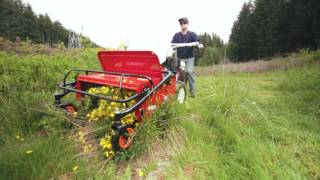 The Ultimate Brush Mulching Machine [upl. by Adiv]