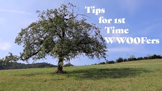 WWOOF  10 Tips for 1st Time WWOOFers [upl. by O'Grady310]