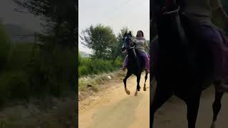 Jatt sohniye tufaan horse ghodeyanwale punjabisong horselover ghodi punjabimusic horseriding [upl. by Arri]