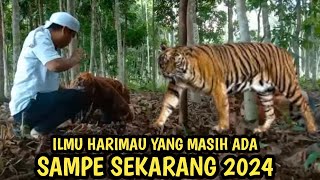 IYAN GURU TANGKAP HARIMAU JADI JADIAN [upl. by Akirderf]