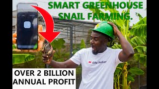 Green House Snail farming in Ghana Explained Introduction To Snail Farming for Beginners [upl. by Innavoeg]