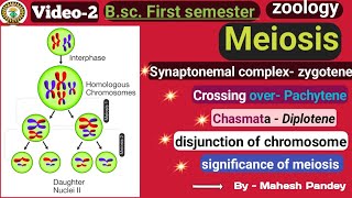 Meiosis cell division  Bsc first semester subjectzoology [upl. by Lorollas]