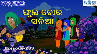 ବାବୁ ମହଲ ଫୁଲ ଚୋର ସନିଆ  Babu Mahal  203  Phula Chora Sania [upl. by Adnema67]