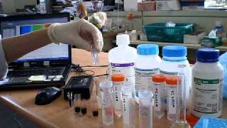 IB Chemistry Iodine clock reaction kinetics using visible spectrophotometer [upl. by Aratas]