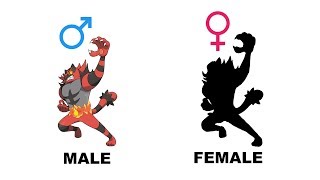 Litten Torracat Incineroar Gender Difference Fanart [upl. by Ligetti]