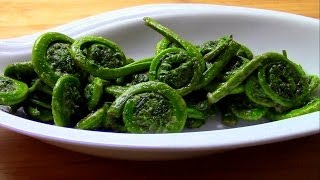 Wild Food Foraging Fern Fiddleheads in the Spring [upl. by Elleuqram693]