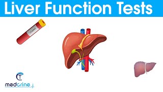 LIVER FUNCTION TESTS LFTsEXPLAINED [upl. by Dobson]