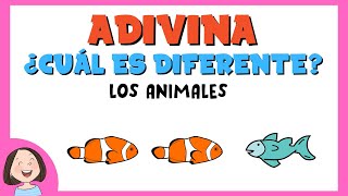 Adivina ¿cuál es el diferente Los animales [upl. by Aihseyn900]