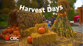 Harvest Days return at Vancouver’s VanDusen garden [upl. by Hippel]