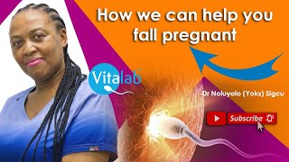 Dr Noluyolo Yoks Sigcu on the topic of quotHow we can help you fall pregnantquot [upl. by Acinomed]