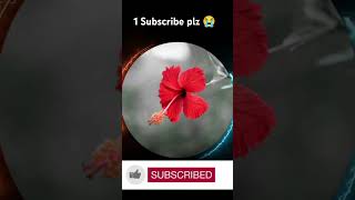 Subscribe my vdeo plz jfnfj b hvdh hbddb hhdhch 😊😊 [upl. by Aoh]