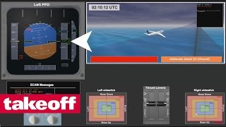 Air France Flug 447  Unfallanalyse deutschGerman [upl. by Rawdon]