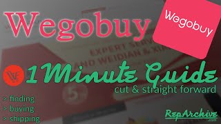 Wegobuy  1 Minute quotEverything You Need to Knowquot Guide [upl. by Erdnad]