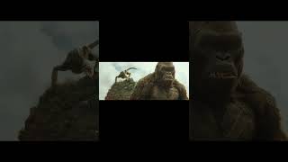 Kong Saves Giant Buffalo Scene  Kong Skull Island 2017 Movie Clip HD [upl. by Ripp67]