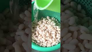 Minatamis na Beans recipe  dessert pinoy fyp beans food shorts [upl. by Auqenwahs146]