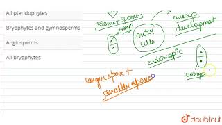 Which one of the following is homosporous with exo scopic embryogeny [upl. by Jerrol]