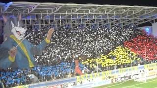 Petrolul Dinamo coregrafie [upl. by Alanna873]