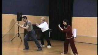 Shi Mei Lin Wu Style Tai Chi Slow Form [upl. by Faxen564]