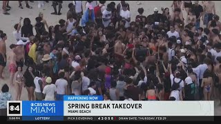 Spring Breakers arrive in South Florida [upl. by Jandel]