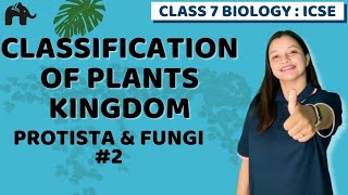 Classification of Plants Kingdom Class 7 ICSE Biology Chapter 2  Selina  Protista amp Fungi 2 [upl. by Roseline346]