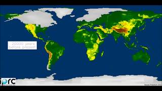 The Last Glacial Cycle [upl. by Stratton]