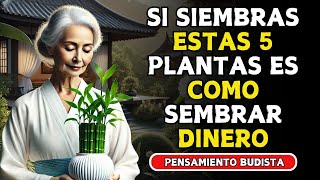 ¡Quieres DINERO SIEMBRA estas 5 PLANTAS en tu CASA  Enseñanzas Budistas [upl. by Ros]