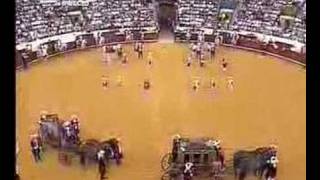 Corrida de Gala à Antiga PortuguesaRTP 50 anos [upl. by Yllet960]