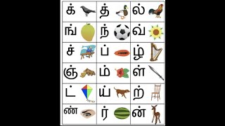 Learn to Pronounce Tamil Letters Consonants  க் to ன் மெய் எழுத்துக்கள் [upl. by Lasonde932]