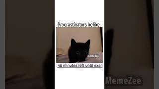 procrastinators be like [upl. by Mullane]