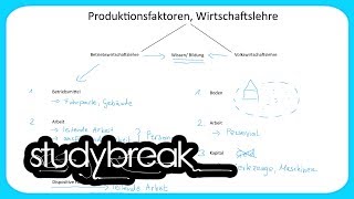 Produktionsfaktoren Dispositive Faktor  Grundbegriffe der Wirtschaftslehre [upl. by Horlacher]