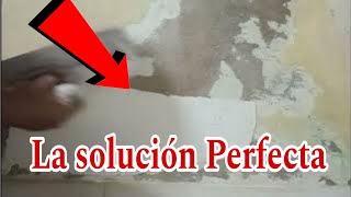 Cómo reparar una pared con humedad LA SOLUCIÓN PERFECTA 2024 [upl. by Heringer474]