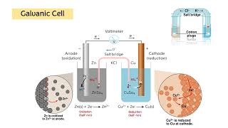 Experiment 1 Potentiometric titration [upl. by Erodoeht200]