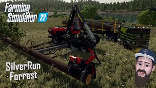 The ULTIMATE Logging BUILD in Farming Simulator 22  SilverRun Forest  Forestry Equipment Tour [upl. by Euginimod262]